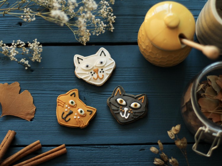 A05.KOTY piernikowe lukrowane_pierniki _jesienna naturalna przekąska  zestaw_piernik wrocławski